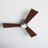 Rodrick Ceiling Fan with LED Lights-90781355-90781352