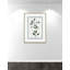 Shabby Elegance Botanical II by Kelly Donovan-72514456-72514449