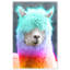 Rainbow Alpaca Print