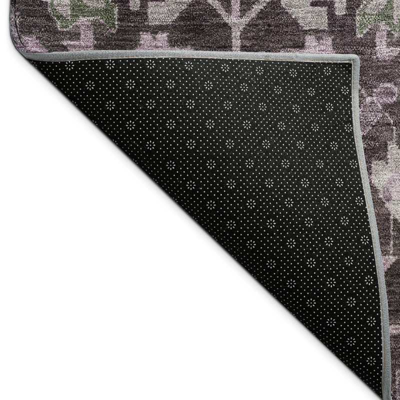 Machine Washable Indoor/Outdoor Francky ACN2358 Traditional Rug, Rectangle 10' x 14'