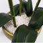 Plant-88685039-88685040