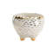 Hedgehog Ceramic Planter-62260154