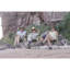 Chaise de camping pliante Teddy