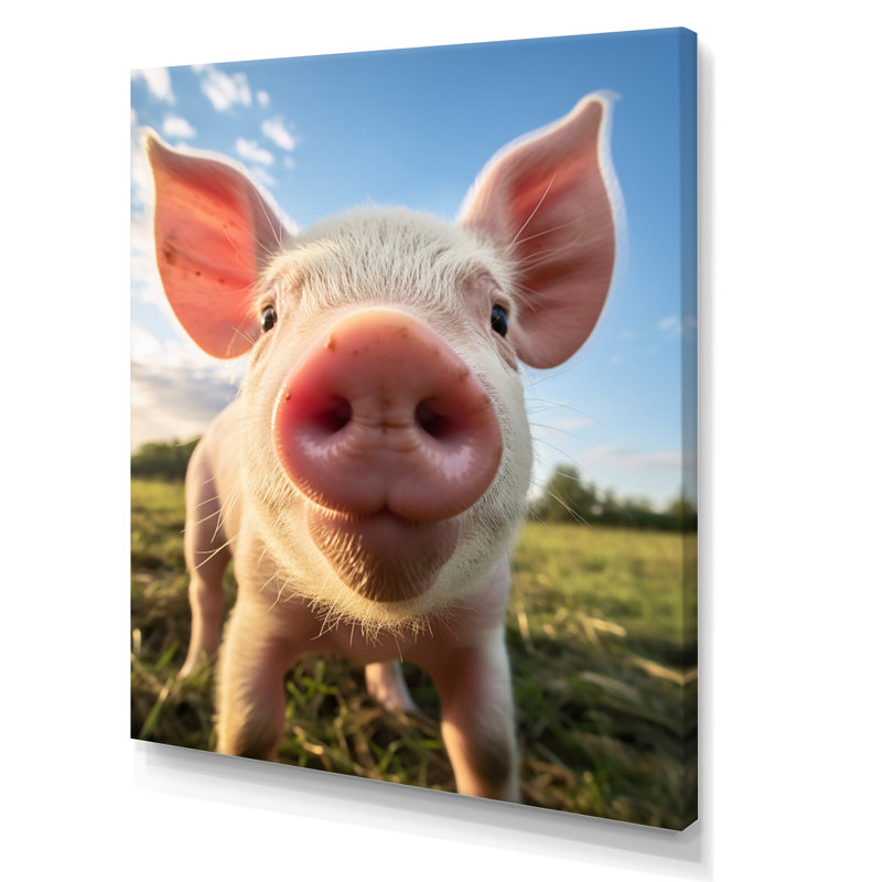 «Pink Pig Curious Snout Pig», reproduction sur toile, H 20 po x l 12 po x P 1 po, Toile tendue