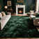 Stylish Fluffy Dark Green Plush Rug
