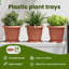 Round Flower Tray 24 Pcs Plastic-942248922-942248923