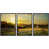Black Floater Framed