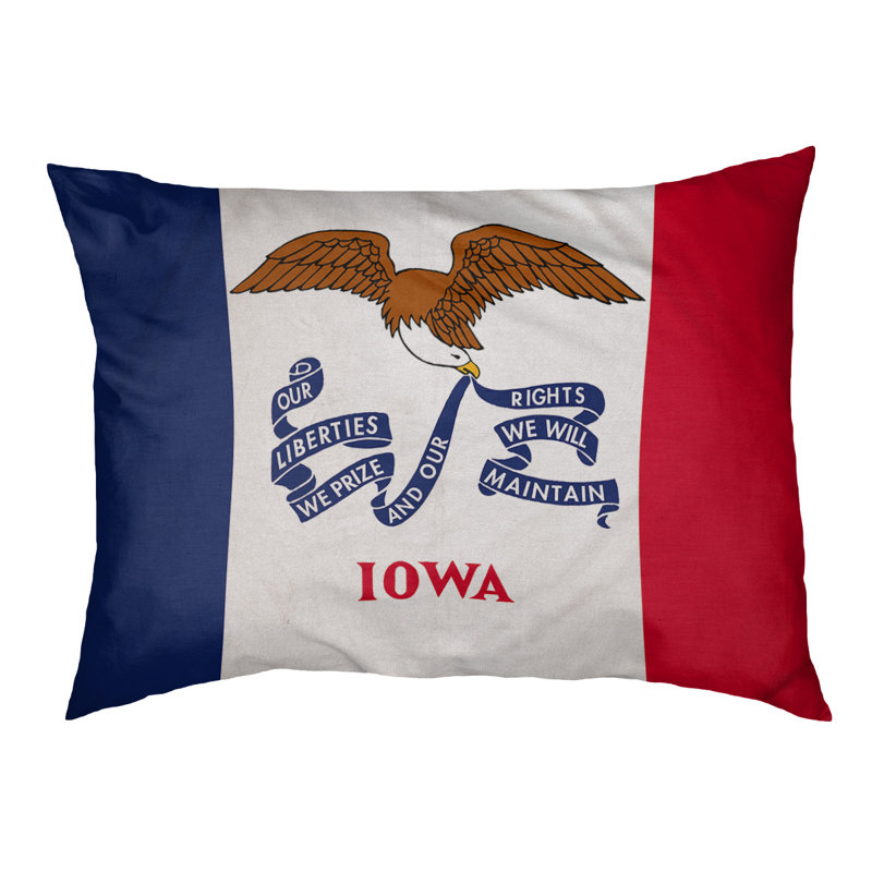 Coussin stylisé iowa flag Burien, L 19,5 po x l 29,5 po, Marron foncé