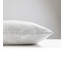 Tundra Square Pillow Cover & Insert-47873297