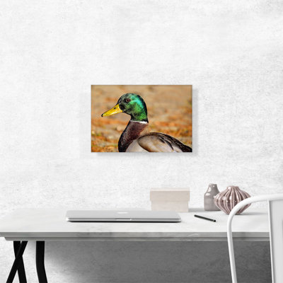 Mallard Home Decor - Reproduction de photo sur toile tendue