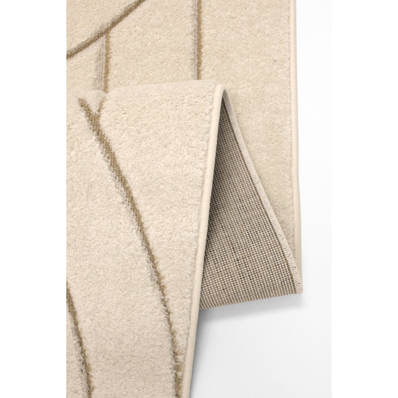 Taddea Oriental Area Rug, Rectangle 80 x 150 cm
