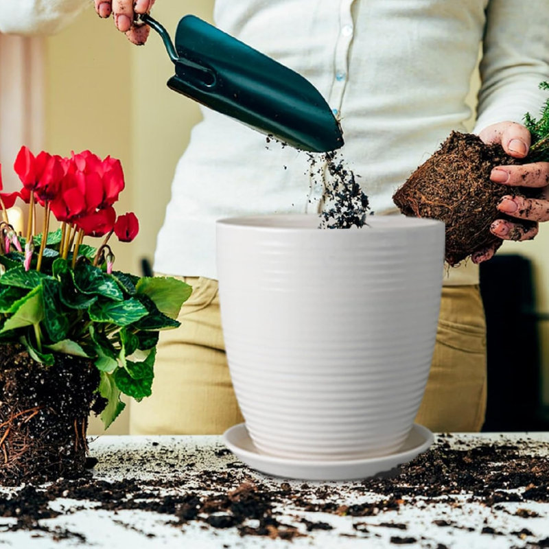 Latitude Run 10-inch Ceramic Planter With Drainage Hole And Saucer |  Wayfair