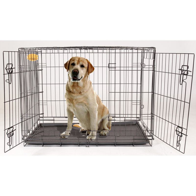Cage pour animal Ridenour, Grand (H 30 po x l 28 po x P 42 po)