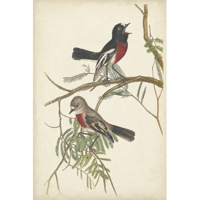 Graceful Birds IV - Painting