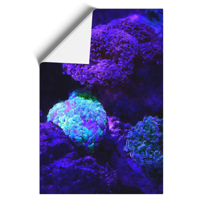 Luminescent Coral Painting - Frameless Print, 59cm H x 42cm W x 0.1cm D