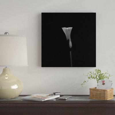 Nature morte tirée d'une fleur de lys Calla par Panoramic Images - Impression sur toile tendue sur châssis