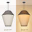 Luminaire suspendu géométrique 1 lumière-939861514
