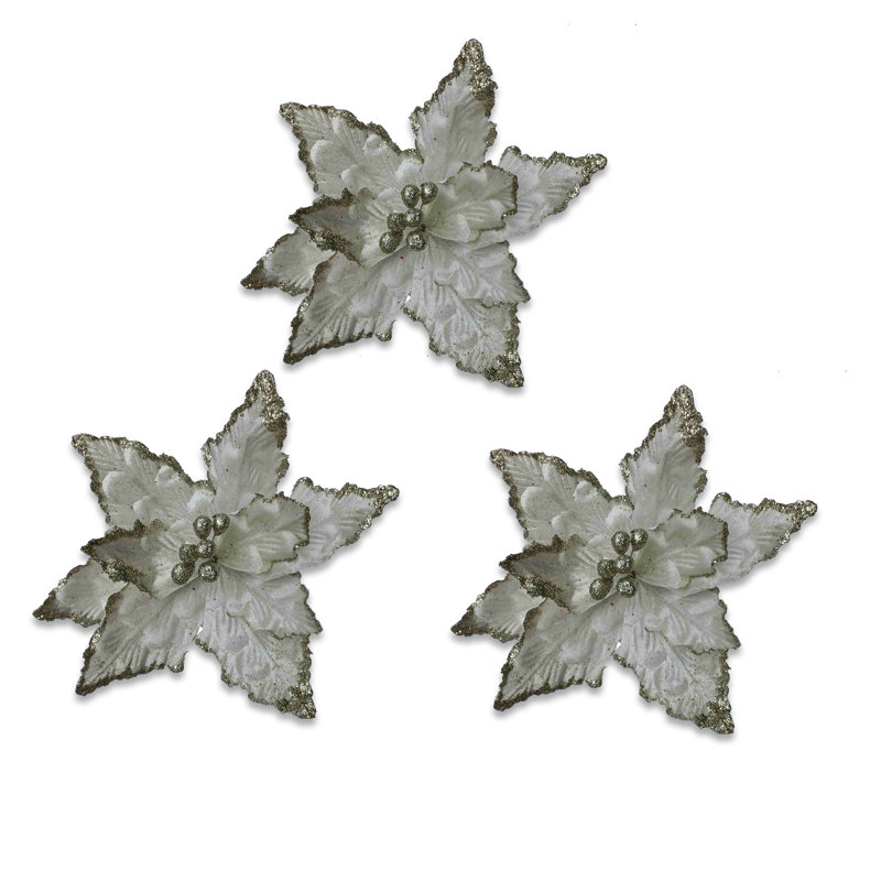 Poinsettia 11 ", Blanc