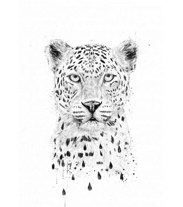 Wrapped Canvas Print, 76.2 cm H x 50.8 cm W