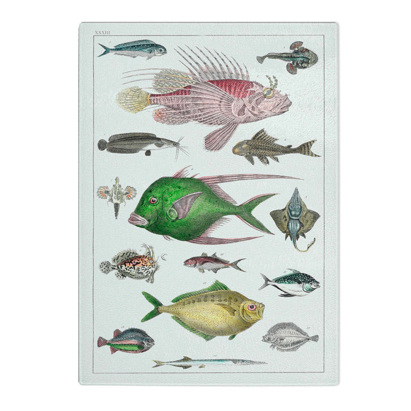 Tempered Glass Various Fishes Xxxiii by Oliver Goldsmith Chopping Board, 28.5 cm W x 39 cm L