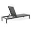Chaise longue de piscine de 2 - dossier réglable, siège en filet, structure en aluminium avec roulettes, filet de piscine noir / gris confortable, structure stable, position