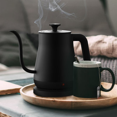 Stainless Steel Gooseneck Electric Tea Kettle