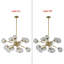 Simmeon 12 - Light Dimmable Chandelier