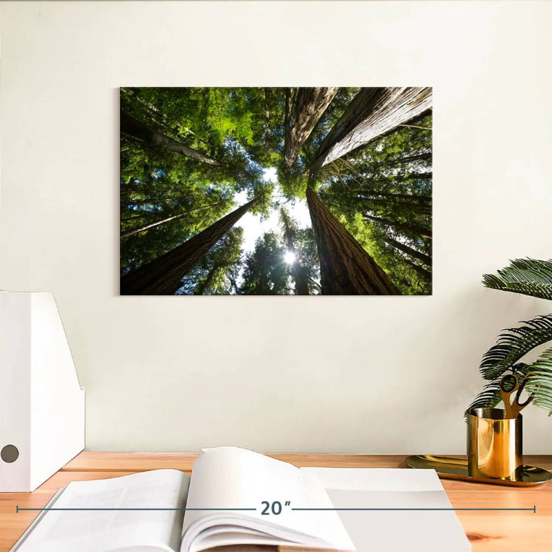 Harnek Low Angle Cedar Trees, 8" H x 12" W