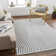Amiracle Abstract Indoor Rug