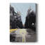 «The Road Less Traveled», impression sur toile tendue-1669894386