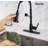 Rainlex Pull Down Kitchen Faucet