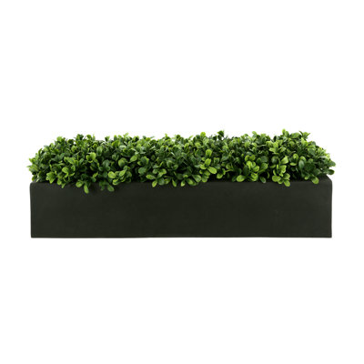 Artificial Boxwood Plant in Fiberstone Planter