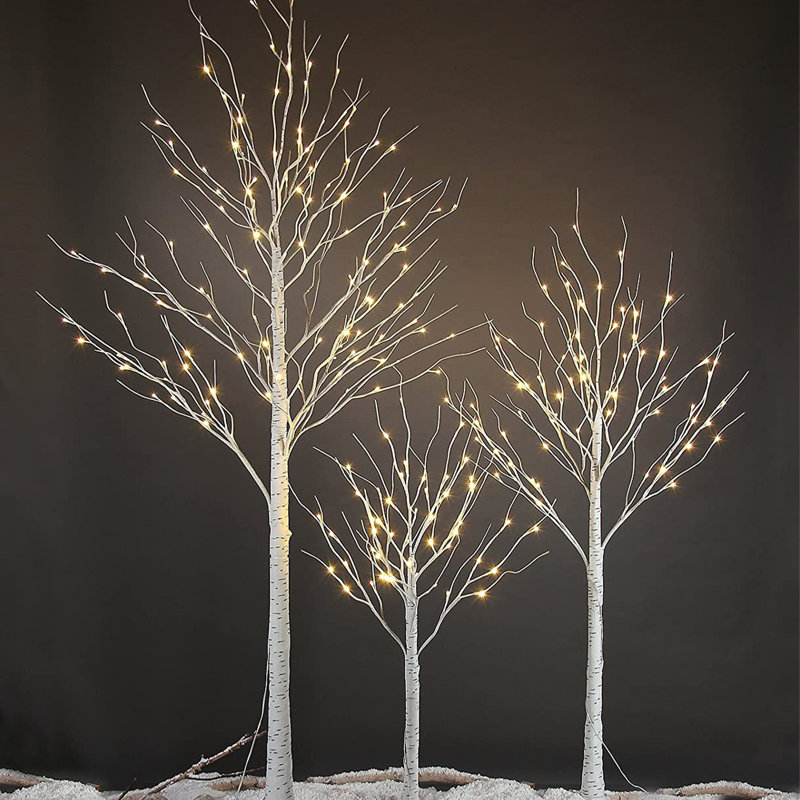 Arbres illuminés