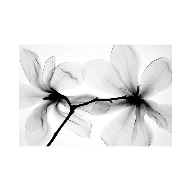 Magnolias I 1 Piece Wrapped Canvas Wall Art, 66.04 cm H x 45.72 cm W