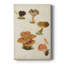 Champignon en forme de V - galerie Cavas sur mesure-2138893062
