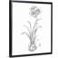 « fleuri sketches ii » par le novogratz-reproduction d’art sur toile-47445326-47445325