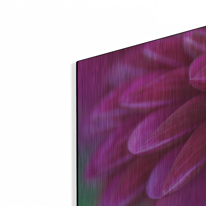 Mercer41 «Pink Chrysanthemum» par Photoinc Studio, art mural en métal, H 12 po x l 16 po