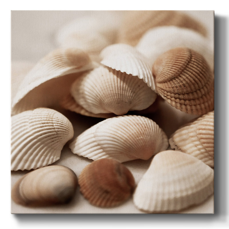 «Beach Treasures I» sur toile, H 16 po x l 16 po x P 1,5 po