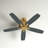 Franson 56'' Ceiling Fan-427518139