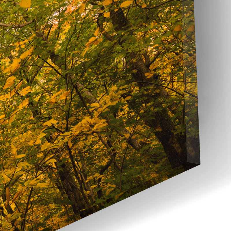  «Smugglers Notch» par Richard Wong, art mural en verre acrylique, 16 po x 12 po