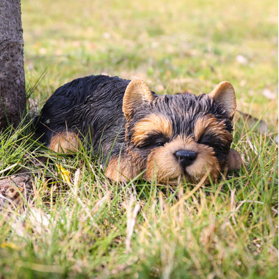 Yorkshire Terrier Puppy Sleeping Statue