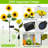 Solar Powered Integrated LED Metal Pathway Light Pack