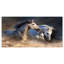 Photographie d'animaux sur toile, "Chevaux qui courent dans la poussière"-29495989