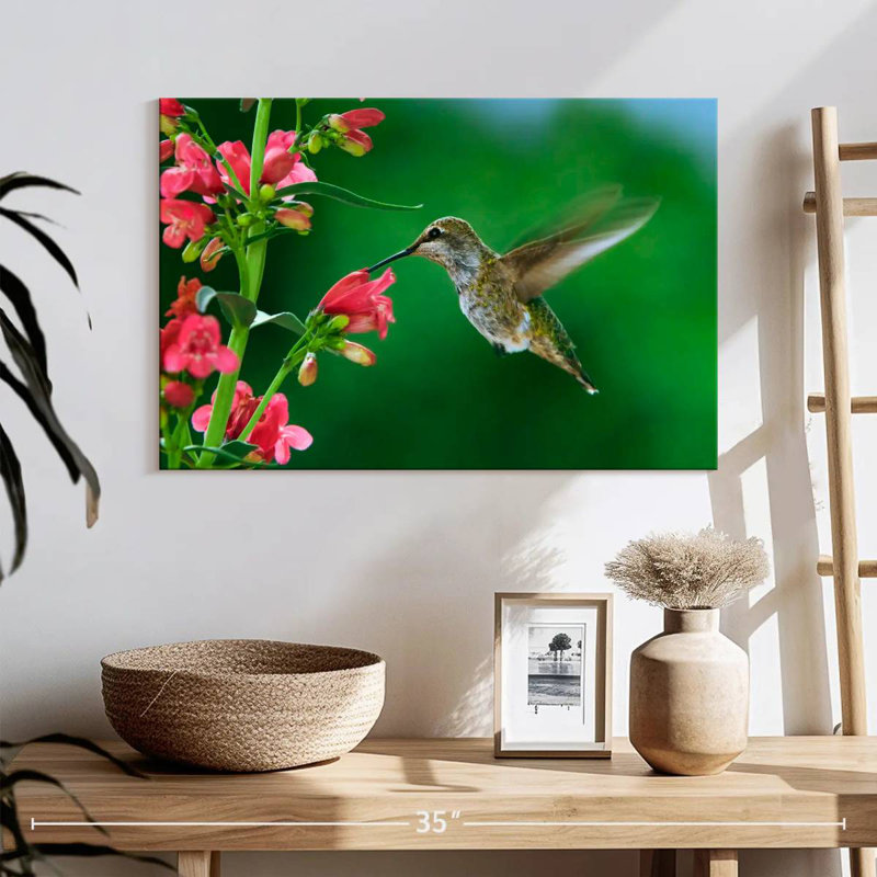 Colibri de printemps Brampt, H 16 po x l 24 po