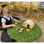 Petits animaux de compagnie de Little Land avec ensemble de 8