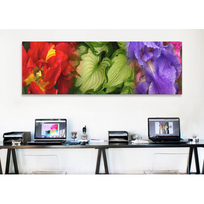 " Tulip and Iris flowers " Color Photography