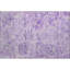 Premium Machine Washable Wayne AMF1102 Damask Rug-1168230014