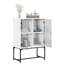 Aanvi Steel Standard Accent Cabinet-1763828316
