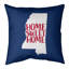 Coussin de minnesota-1118954853-1118930150-1118930145