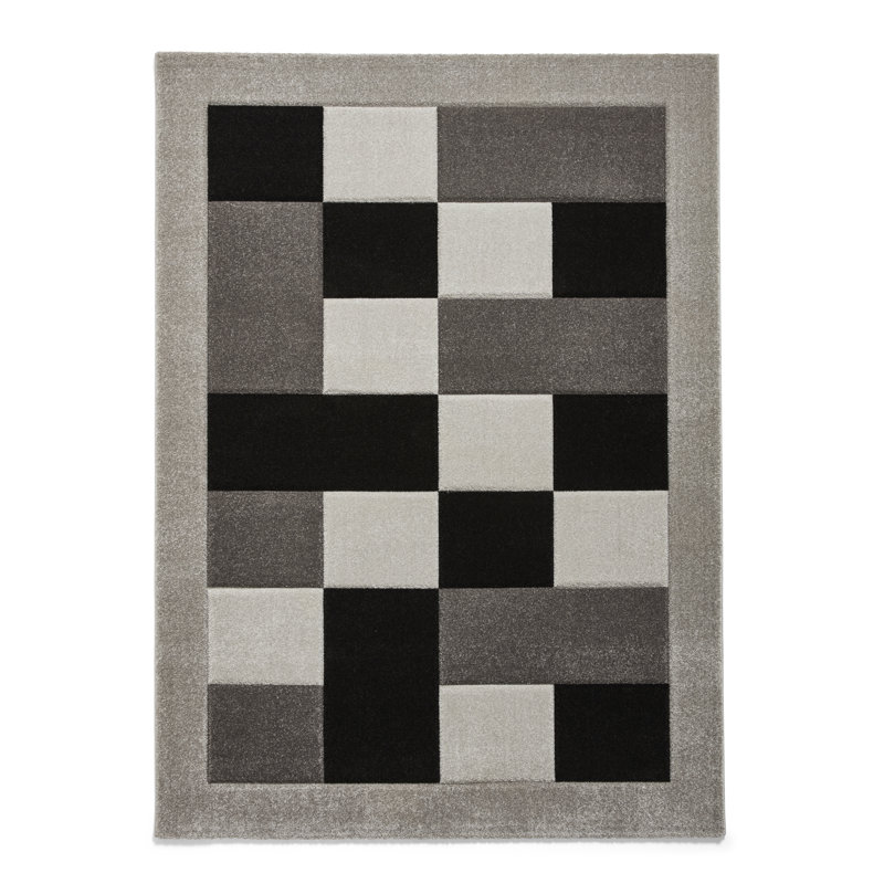 Nakano area rug Machine Woven Grey, Rectangle 120 x 170cm